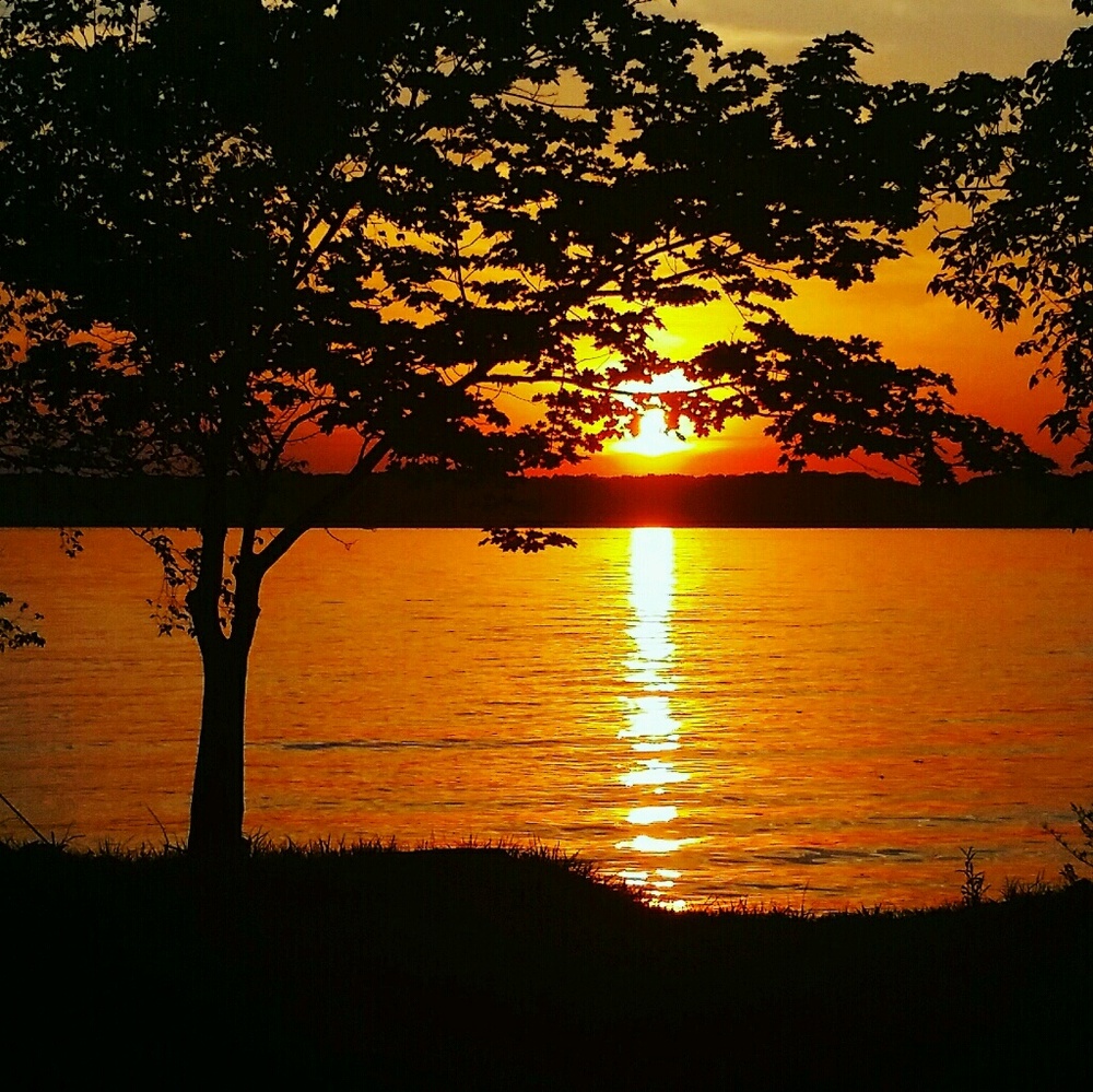 Meet your Posher, Celeste